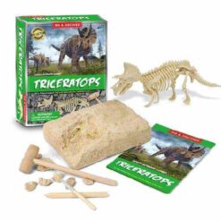 Dinosaur Fossil Excavation/Digging Kit